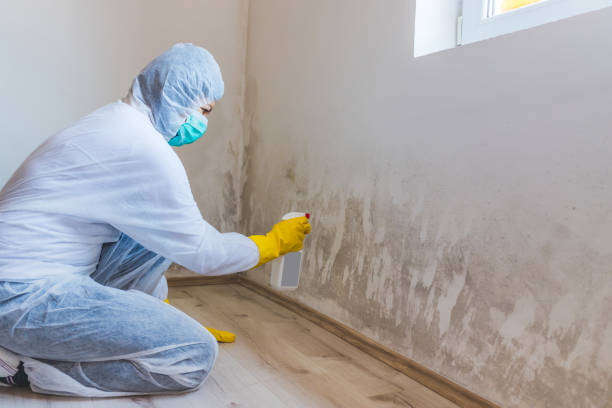 Bathroom Mold Removal assessment in Romeoville bathroom
